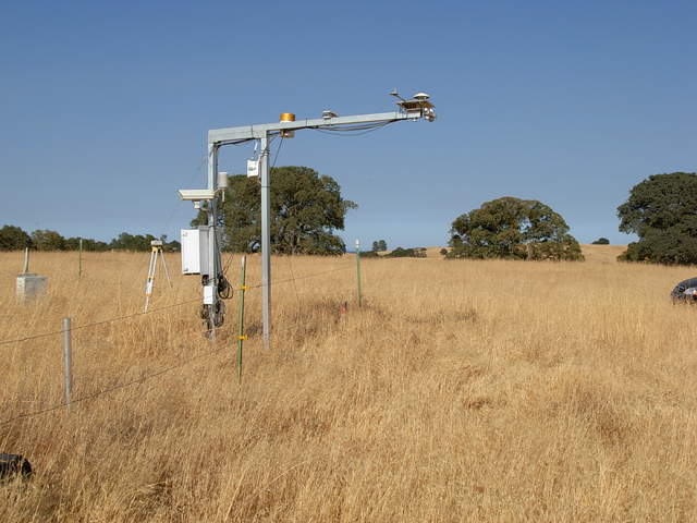 Vaira flux site. NDVI from hand-held spectrometer was 0.26