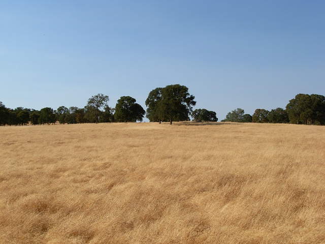 Vaira site