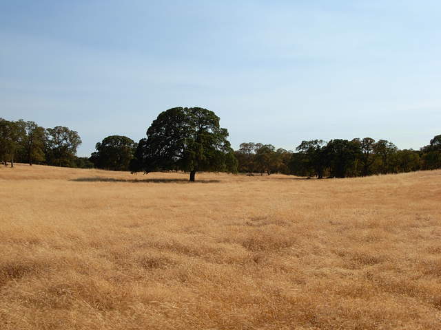 Vaira site
