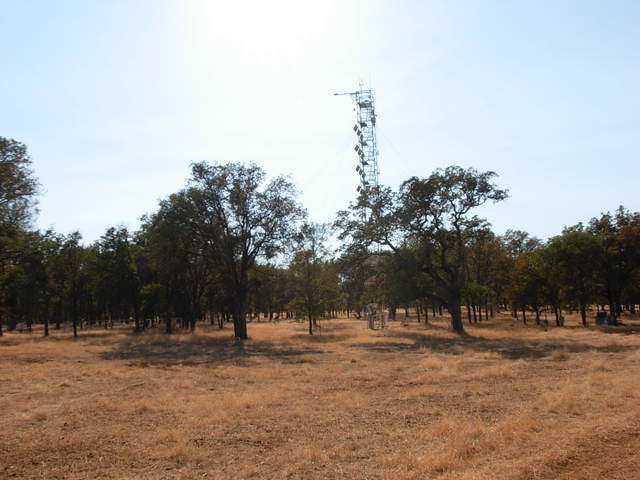 Tonzi flux tower