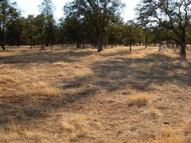 Reference 1 grass