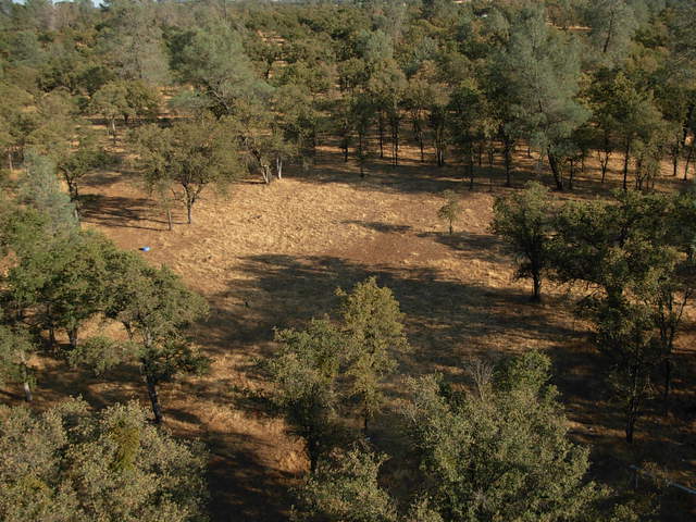 Reference 2 grass