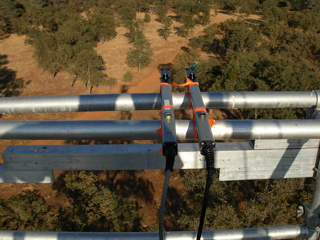 Matching two LAI sensors. I waited until sunset