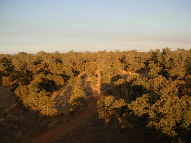 Close to sunset. Below part is almost diffused radiation.