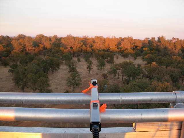 Reference LAI sensor. Almost sunset