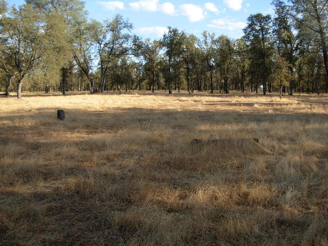 Reference 2 grass at Tonzi