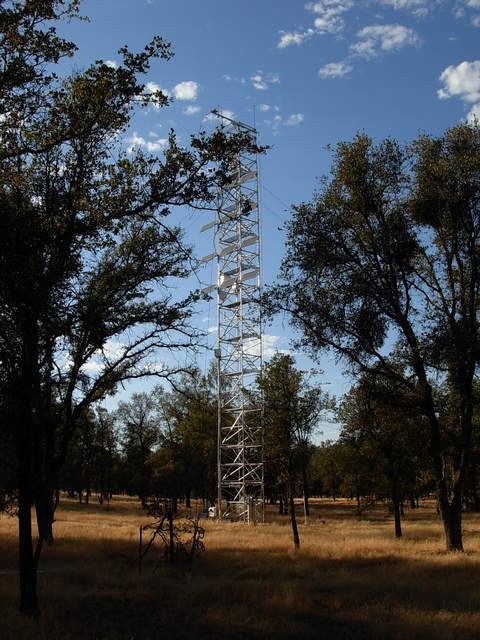 Tonzi flux site