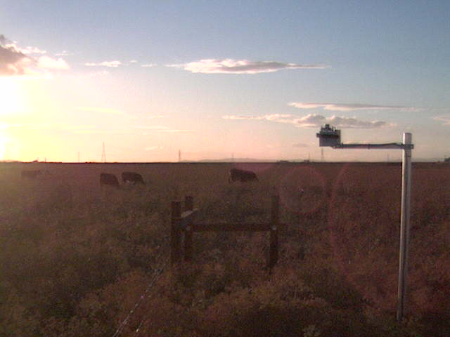 Nice sunset