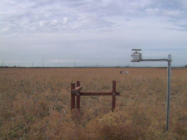 People in the field