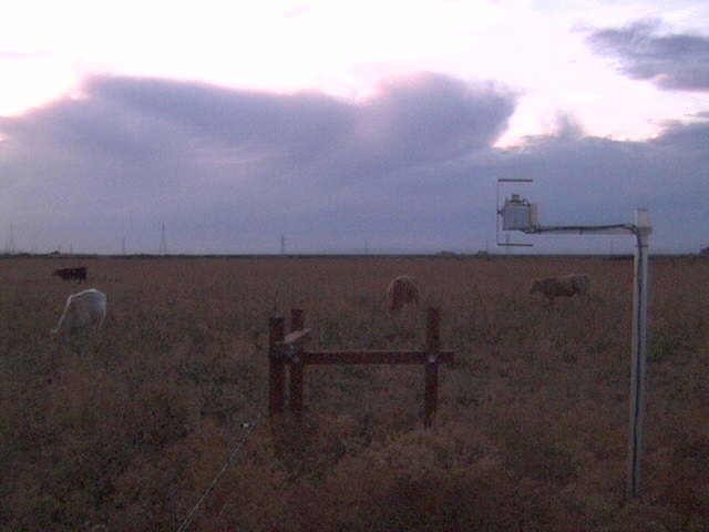 Nice clouds