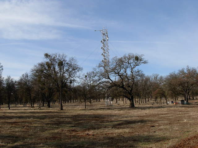 Tonzi flux tower