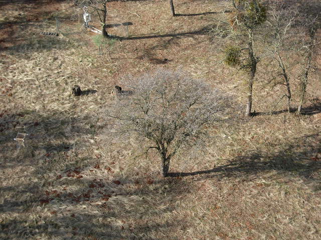 From the top of tower