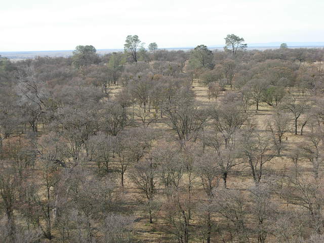 From the top of tower