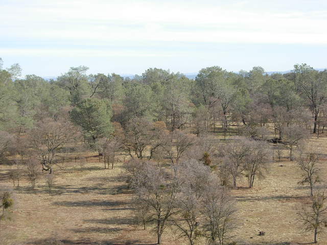 From the top of tower