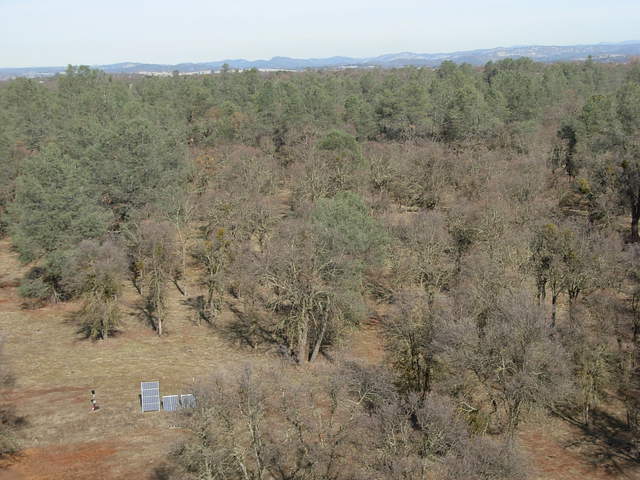 From the top of tower