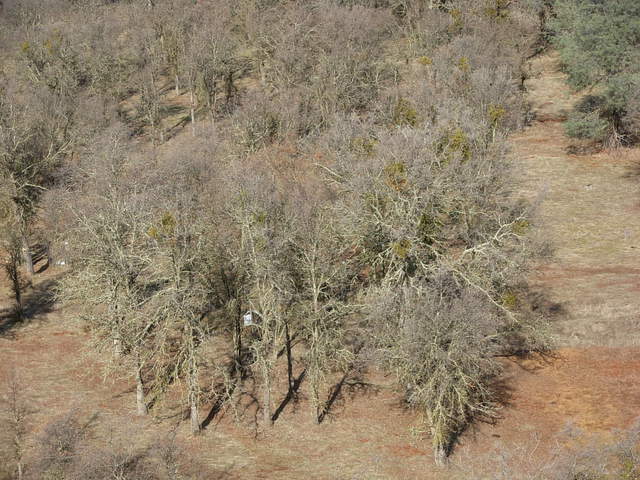 Floor flux tower