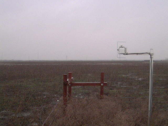 Puddles on the field