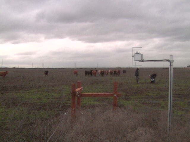 People in the field