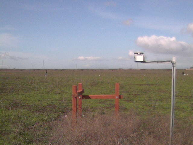 People in the field
