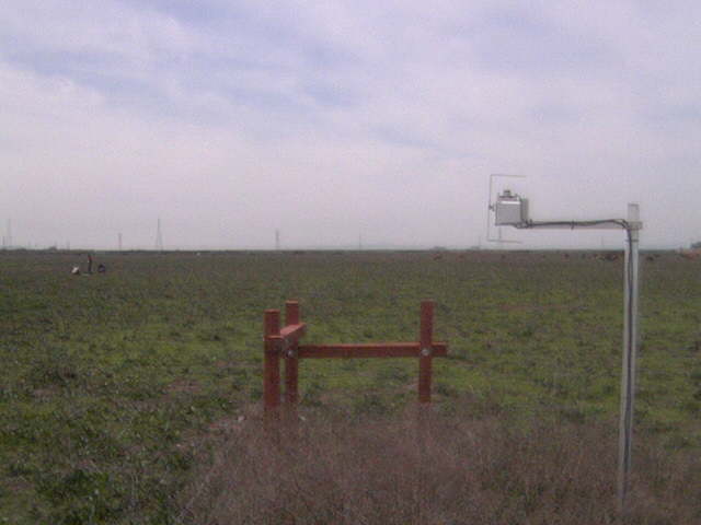 People in the field