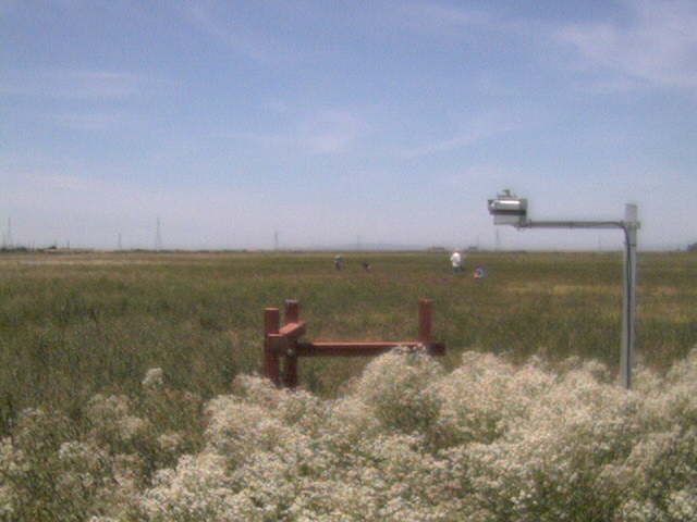 People in the field