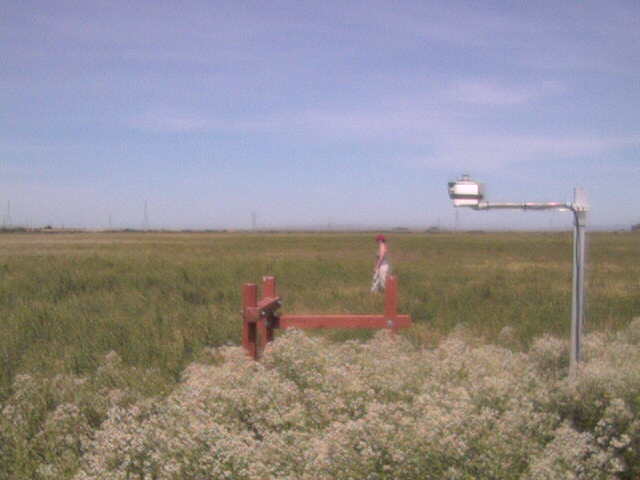 People in the field