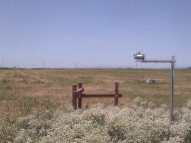 People in the field