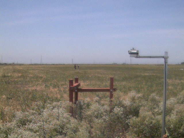 People in the field