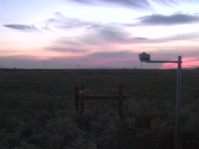 Nice sunset