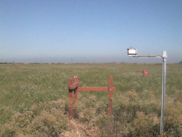 People in the field
