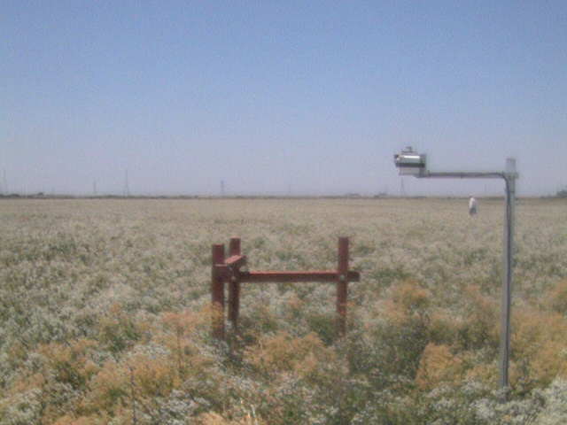 People in the field