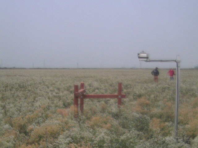 People in the field