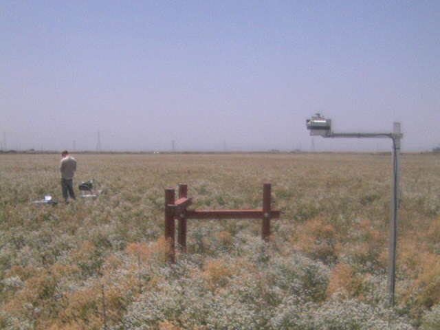 People in the field