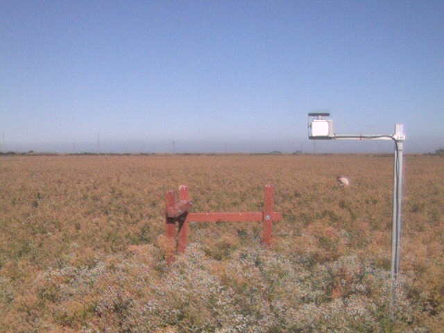 People in the field