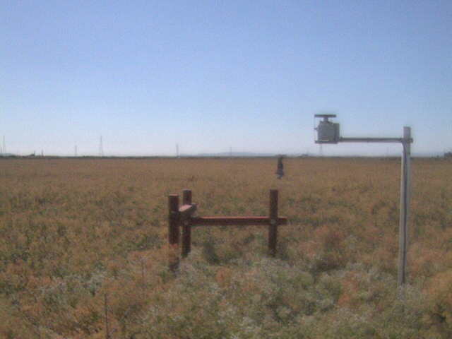 People in the field