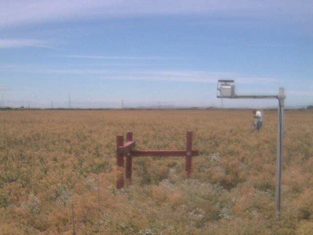 People in the field