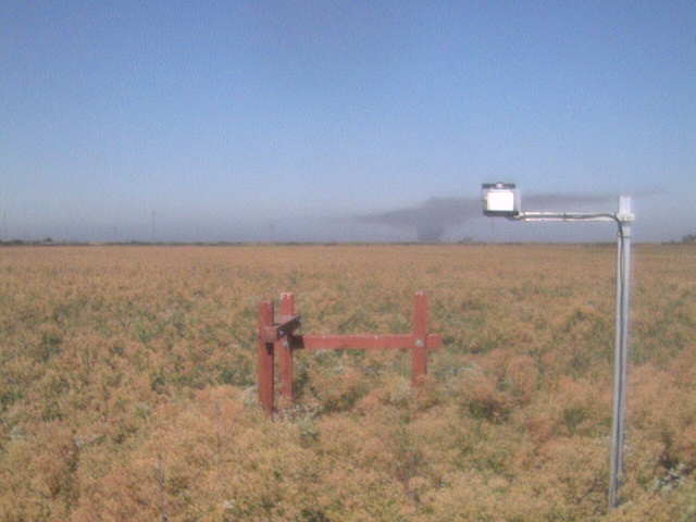 Smoke on the horizon