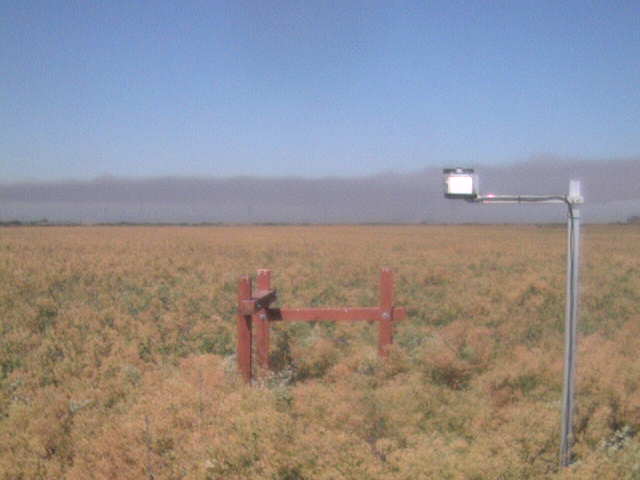 Smoke on the horizon