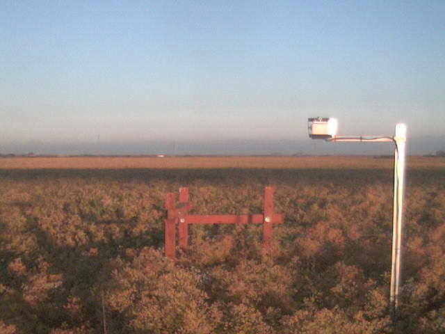 Bridge shadow