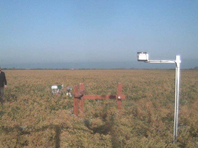 LI6400 in the field