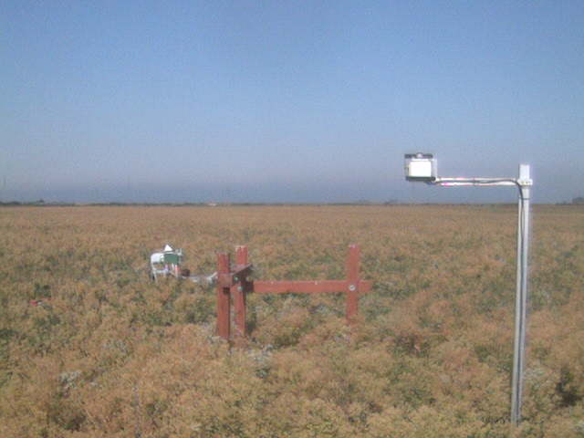 LI6400 in the field