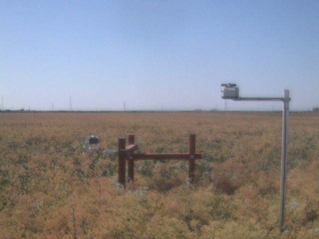 LI6400 in the field