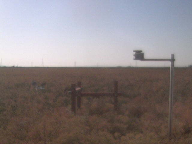 LI6400 in the field