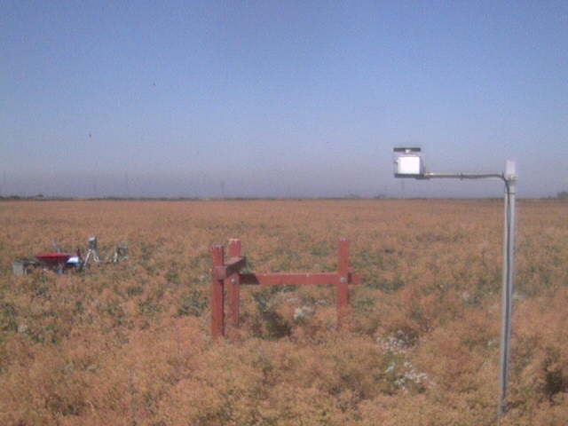 LI6400 in the field