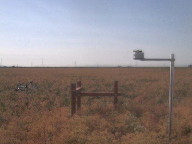 LI6400 in the field