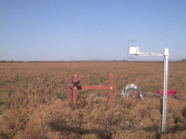 LI6400 in the field