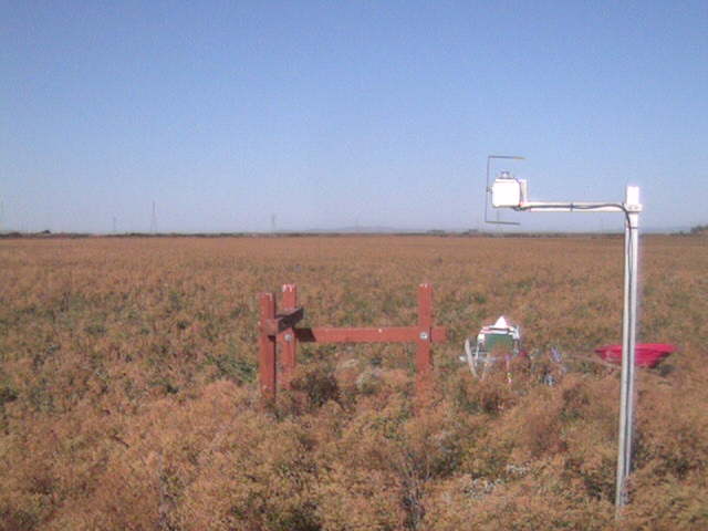 LI6400 in the field