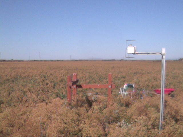 LI6400 in the field