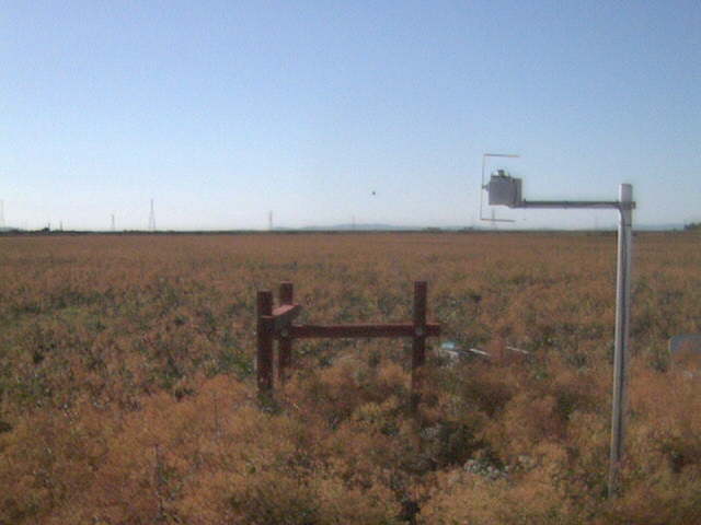 Li6400 in the field
