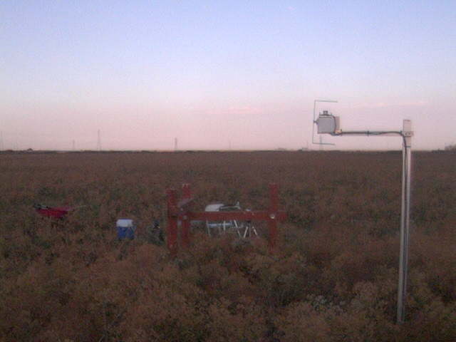 LI6400 in the field